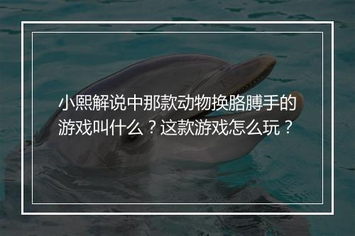 小熙解说中那款动物换胳膊手的游戏叫什么?这款游戏怎么玩?