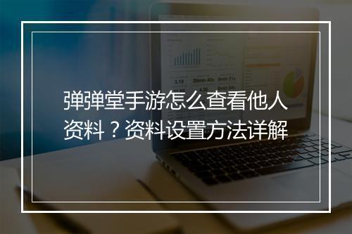 弹弹堂手游怎么查看他人资料?资料设置方法详解
