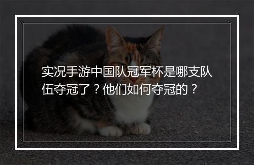 实况手游中国队冠军杯是哪支队伍夺冠了?他们如何夺冠的?