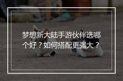 梦想新大陆手游伙伴选哪个好?如何搭配更强大?