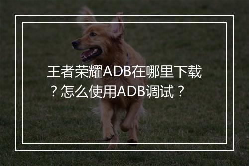 王者荣耀ADB在哪里下载?怎么使用ADB调试?