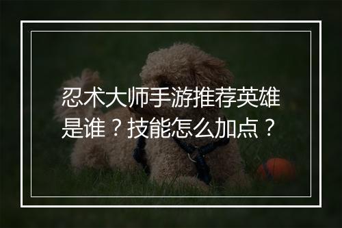 忍术大师手游推荐英雄是谁?技能怎么加点?