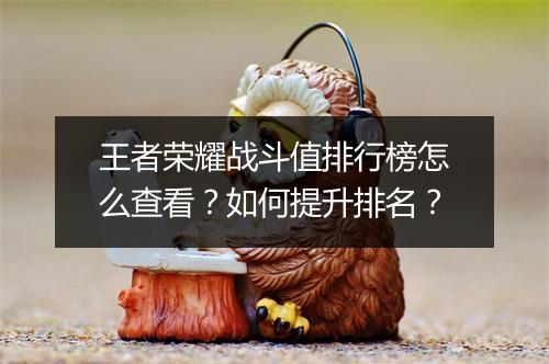 王者荣耀战斗值排行榜怎么查看？如何提升排名？