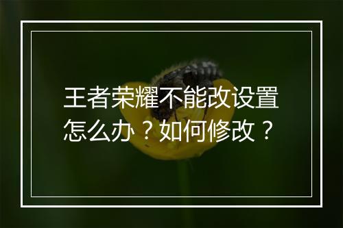 王者荣耀不能改设置怎么办？如何修改？