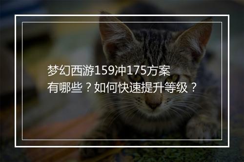 梦幻西游159冲175方案有哪些?如何快速提升等级?