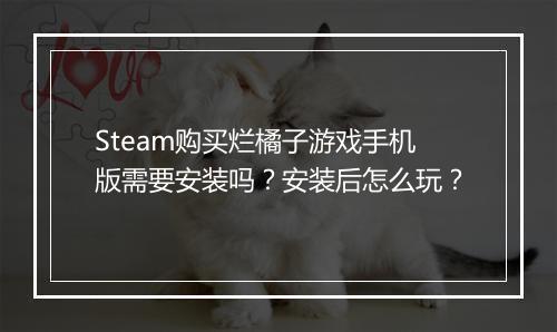 Steam购买烂橘子游戏手机版需要安装吗?安装后怎么玩?