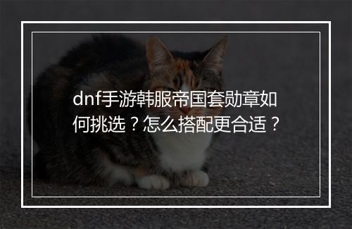 dnf手游韩服帝国套勋章如何挑选?怎么搭配更合适?