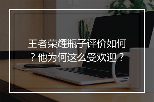 王者荣耀瓶子评价如何?他为何这么受欢迎?