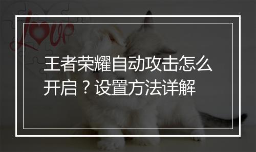 王者荣耀自动攻击怎么开启?设置方法详解