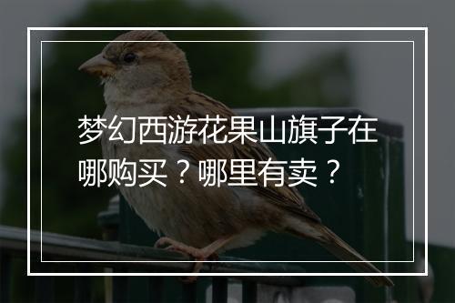 梦幻西游花果山旗子在哪购买?哪里有卖?