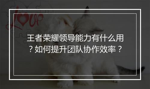 王者荣耀领导能力有什么用？如何提升团队协作效率？