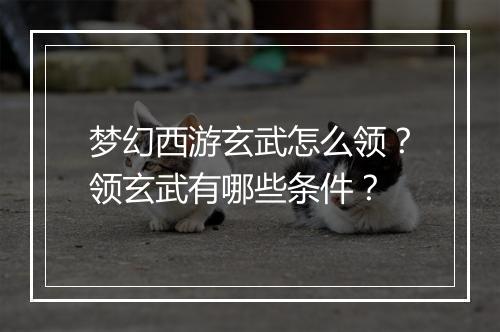 梦幻西游玄武怎么领?领玄武有哪些条件?