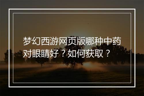 梦幻西游网页版哪种中药对眼睛好?如何获取?