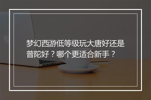 梦幻西游低等级玩大唐好还是普陀好?哪个更适合新手?