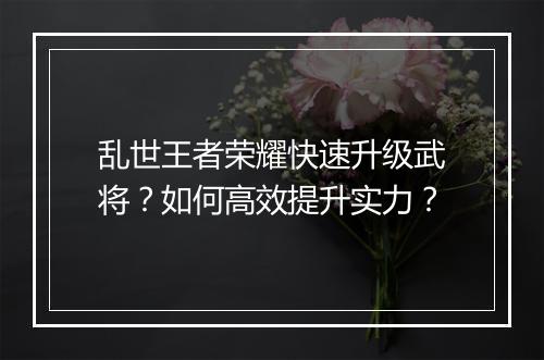 乱世王者荣耀快速升级武将?如何高效提升实力?
