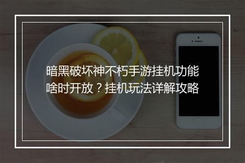 暗黑破坏神不朽手游挂机功能啥时开放？挂机玩法详解攻略