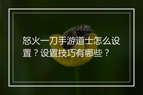 怒火一刀手游道士怎么设置？设置技巧有哪些？