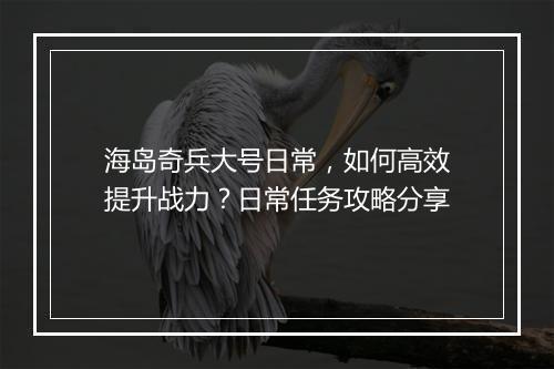 海岛奇兵大号日常,如何高效提升战力?日常任务攻略分享