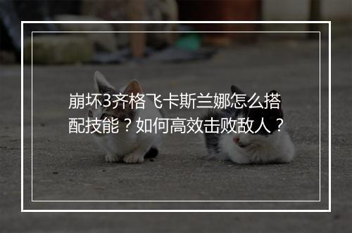崩坏3齐格飞卡斯兰娜怎么搭配技能？如何高效击败敌人？