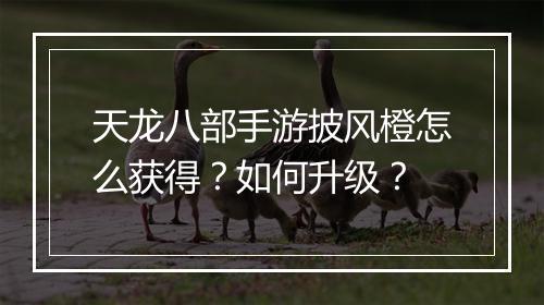 天龙八部手游披风橙怎么获得？如何升级？
