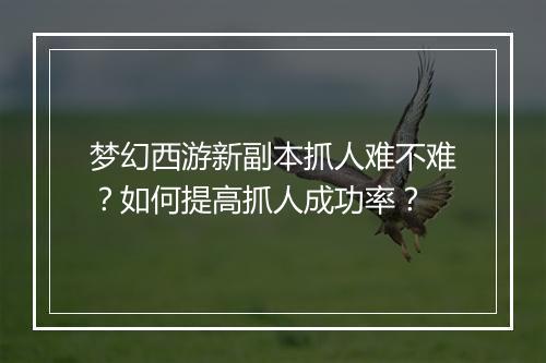 梦幻西游新副本抓人难不难?如何提高抓人成功率?
