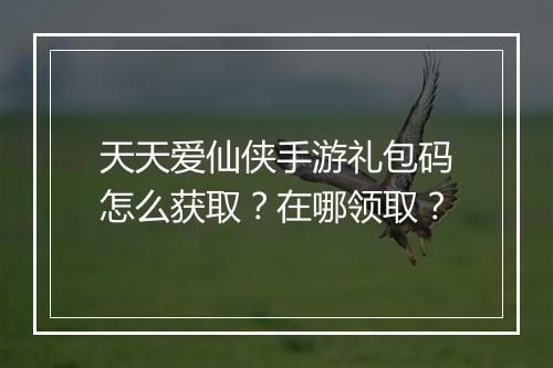 天天爱仙侠手游礼包码怎么获取？在哪领取？
