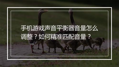 手机游戏声音平衡器音量怎么调整?如何精准匹配音量?
