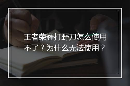 王者荣耀打野刀怎么使用不了?为什么无法使用?