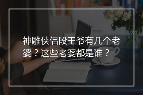 神雕侠侣段王爷有几个老婆？这些老婆都是谁？