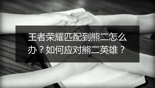 王者荣耀匹配到熊二怎么办？如何应对熊二英雄？