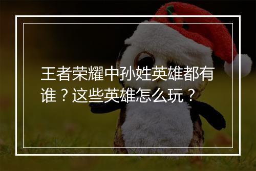 王者荣耀中孙姓英雄都有谁？这些英雄怎么玩？