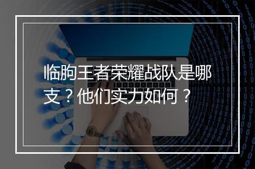 临朐王者荣耀战队是哪支?他们实力如何?