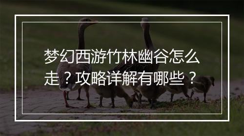 梦幻西游竹林幽谷怎么走？攻略详解有哪些？