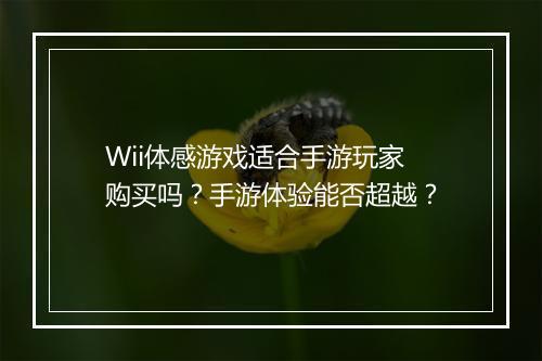 Wii体感游戏适合手游玩家购买吗？手游体验能否超越？