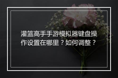 灌篮高手手游模拟器键盘操作设置在哪里？如何调整？