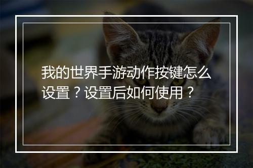 我的世界手游动作按键怎么设置?设置后如何使用?