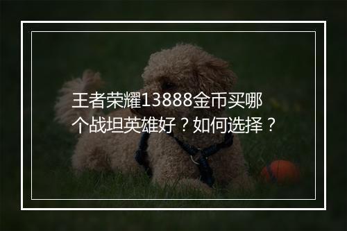 王者荣耀13888金币买哪个战坦英雄好？如何选择？