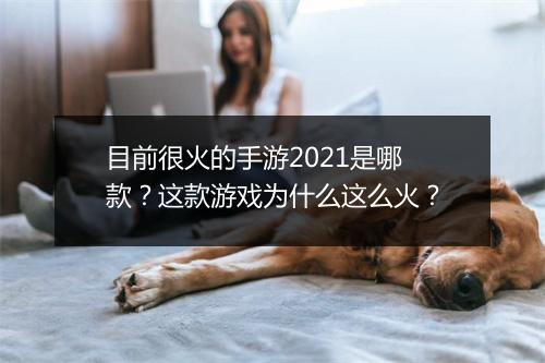 目前很火的手游2021是哪款？这款游戏为什么这么火？