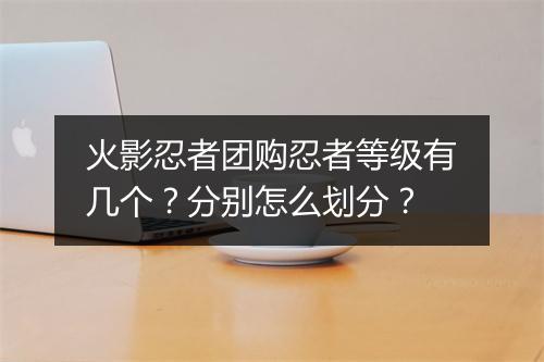 火影忍者团购忍者等级有几个？分别怎么划分？