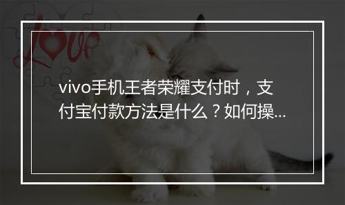 vivo手机王者荣耀支付时，支付宝付款方法是什么？如何操作？
