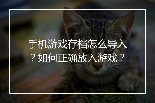 手机游戏存档怎么导入?如何正确放入游戏?