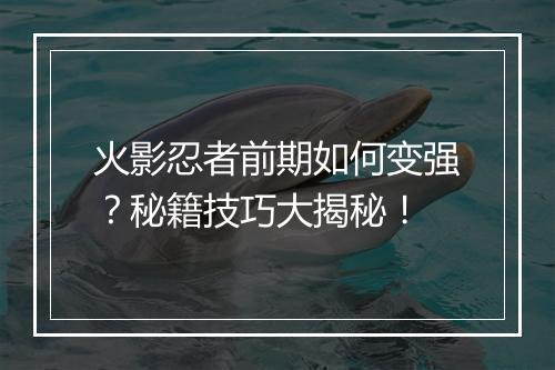 火影忍者前期如何变强？秘籍技巧大揭秘！