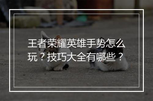 王者荣耀英雄手势怎么玩？技巧大全有哪些？