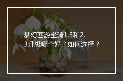 梦幻西游坐骑1.3和2.3升级哪个好？如何选择？