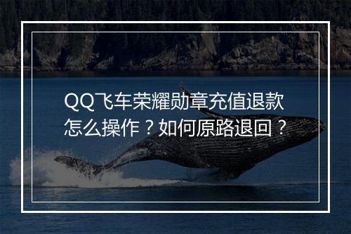 QQ飞车荣耀勋章充值退款怎么操作？如何原路退回？