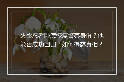 火影忍者卧底恢复警察身份？他能否成功回归？如何揭露真相？