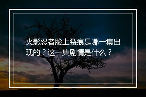火影忍者脸上裂痕是哪一集出现的？这一集剧情是什么？