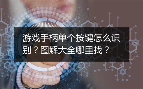 游戏手柄单个按键怎么识别？图解大全哪里找？