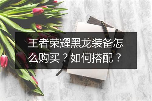 王者荣耀黑龙装备怎么购买?如何搭配?