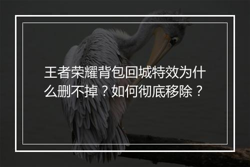 王者荣耀背包回城特效为什么删不掉？如何彻底移除？